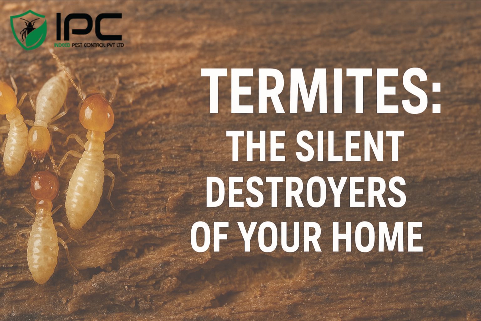 Termites: The Silent Destroyers of Your Home