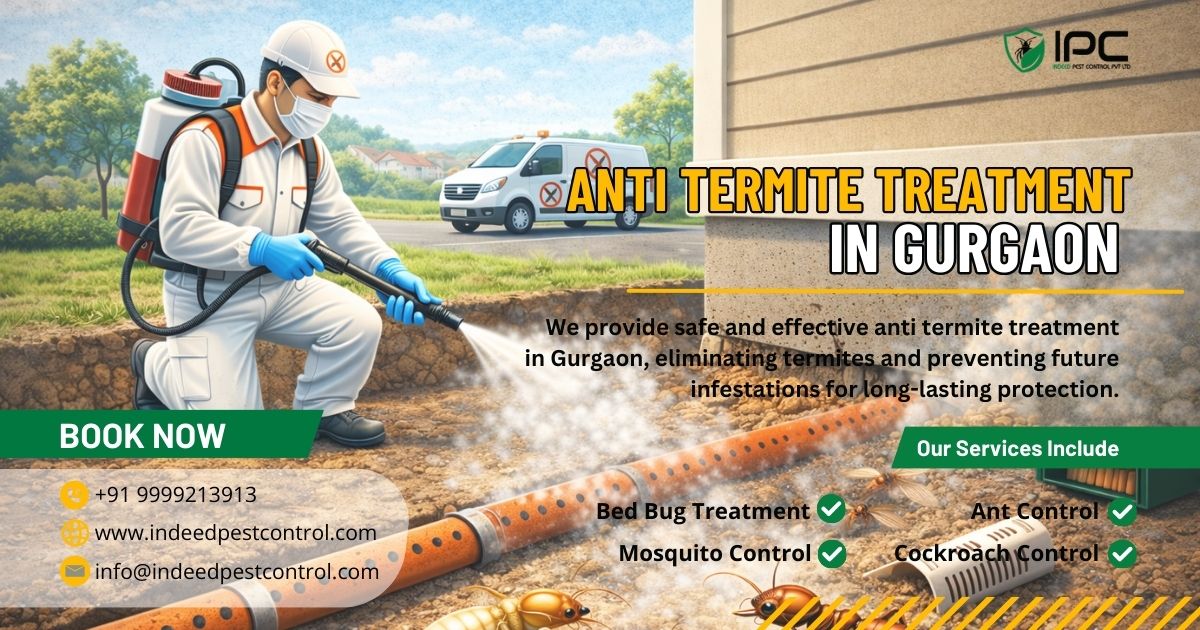 Anti Termite Treatment in Gurgaon